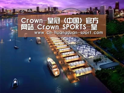 案例展示八