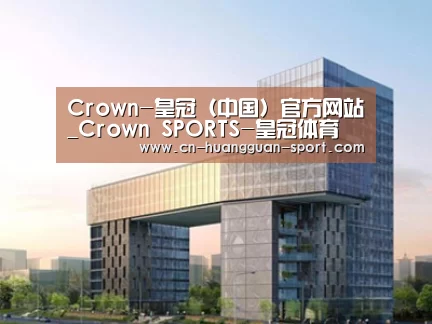 案例展示四