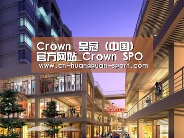 案例展示一