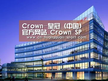 案例展示五