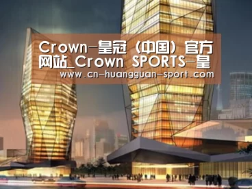 案例展示三